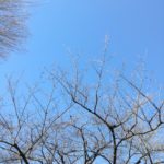 ワンオペ年始スタート。今年の抱負。