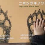 3才9ヶ月成長記録と敏感気質について