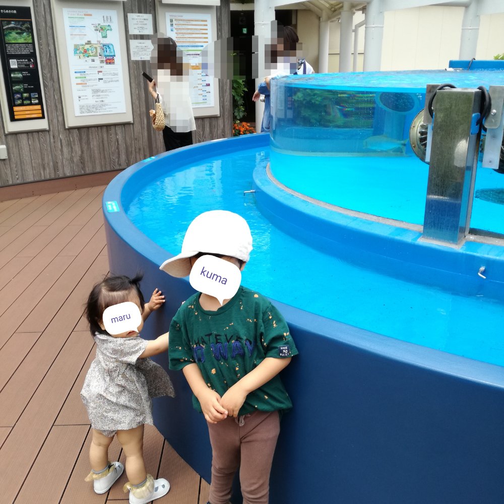 幼稚園への不信感、その後。周りのママ友からの話。