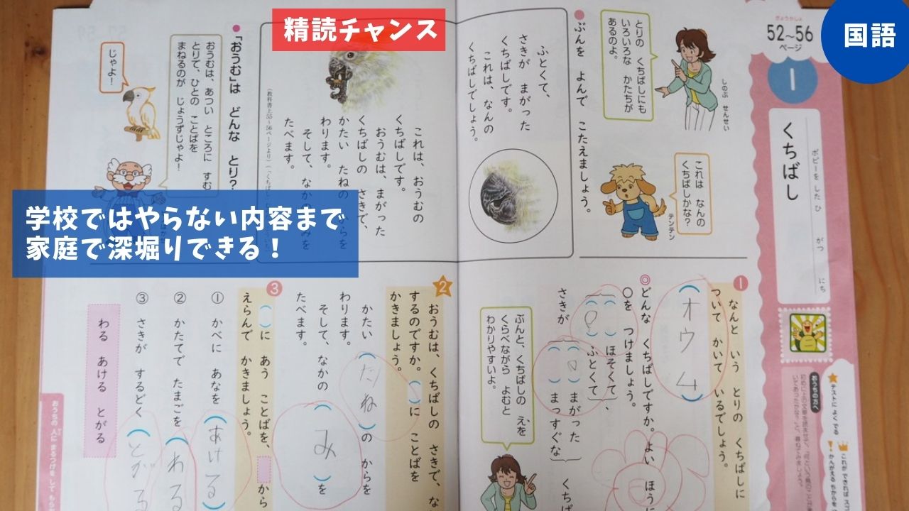 小学ポピー1年生 私と息子が大満足している理由 元にゃーごの育児生活